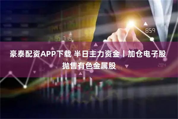 豪泰配资APP下载 半日主力资金丨加仓电子股 抛售有色金属股