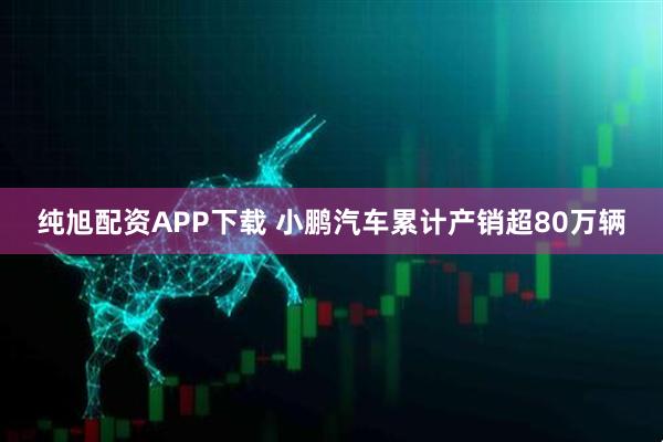 纯旭配资APP下载 小鹏汽车累计产销超80万辆